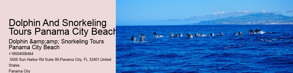 Dolphin And Snorkel Tours Panama City Beach Florida
