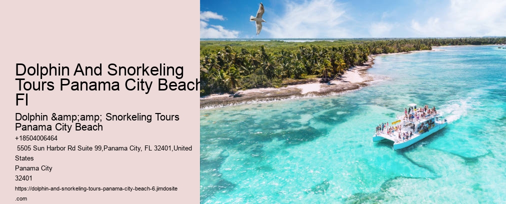 Dolphin And Snorkeling Tours Panama City Beach Fl