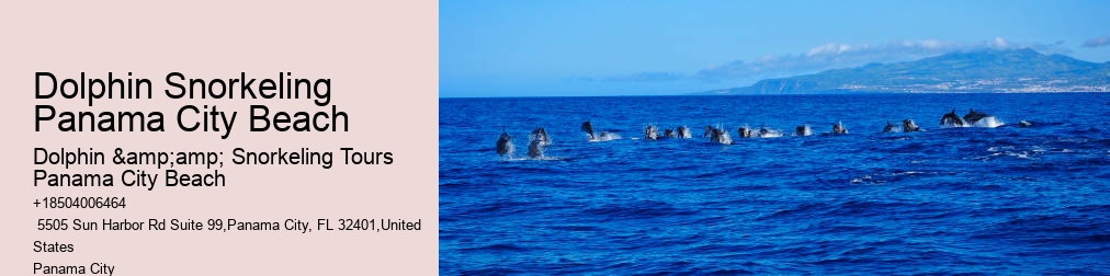 Dolphin And Snorkel Tours Panama City Beach