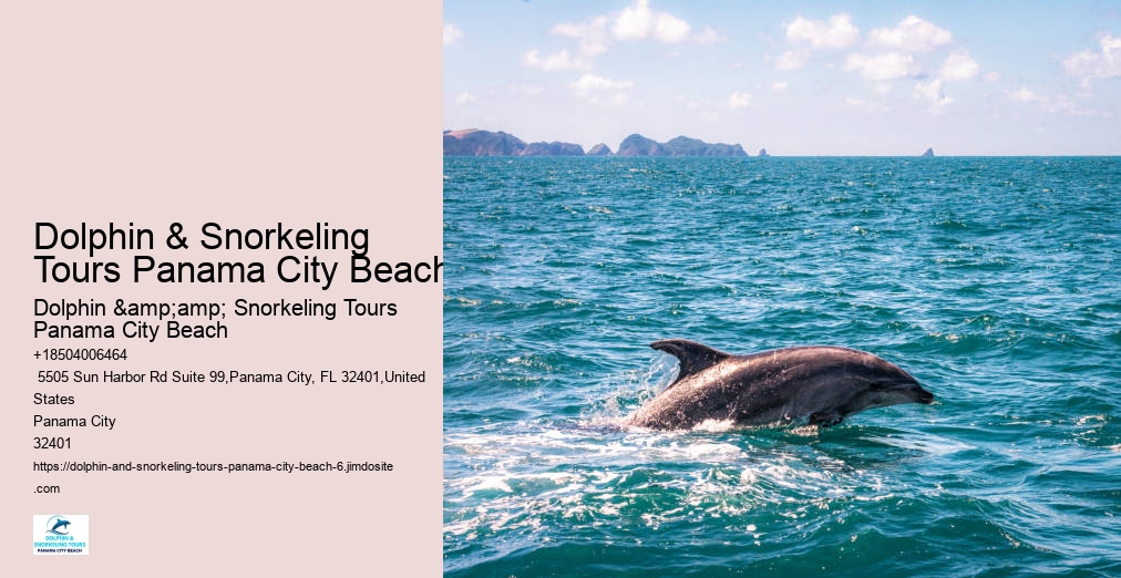 Panama City Beach Shell Island Dolphin And Snorkel Cruise
