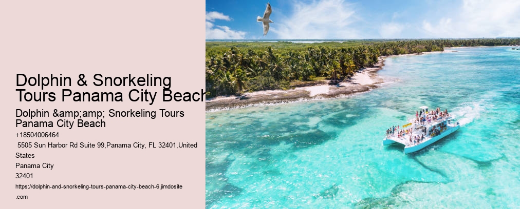 Panama City Beach Dolphin And Snorkeling Tours