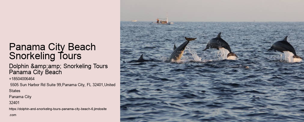 Snorkeling Tours Panama City Beach