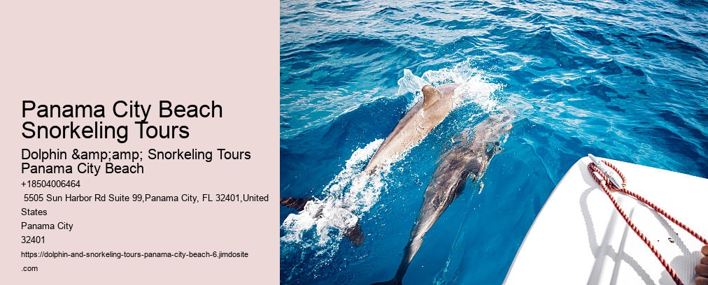 Panama City Beach Snorkeling Tours 