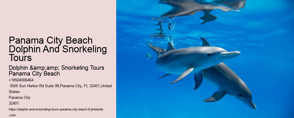 Dolphin & Snorkeling Tours Panama City Beach