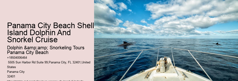 Dolphin & Snorkeling Tours Panama City Beach