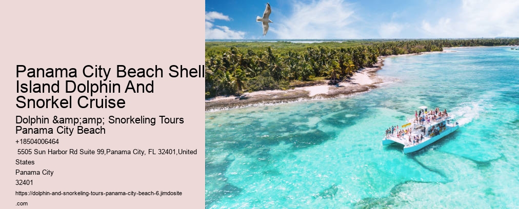 Dolphin And Snorkel Tours Panama City Beach
