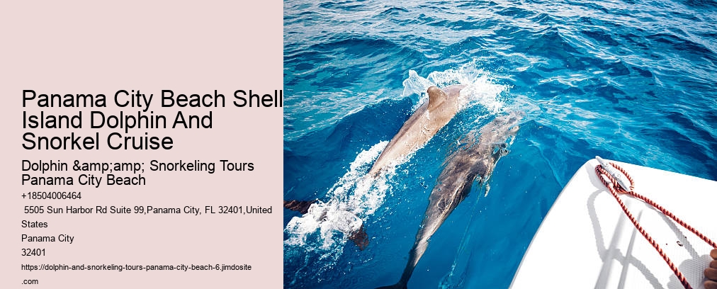 Panama City Beach Snorkeling Tour