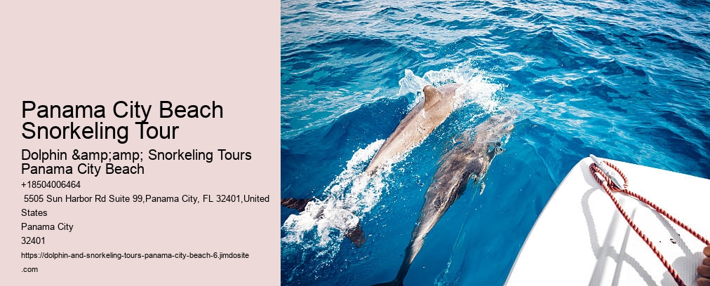 Panama City Beach Snorkeling Tour