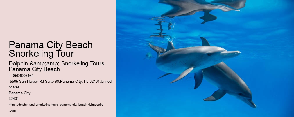 Dolphin & Snorkeling Tours Panama City Beach