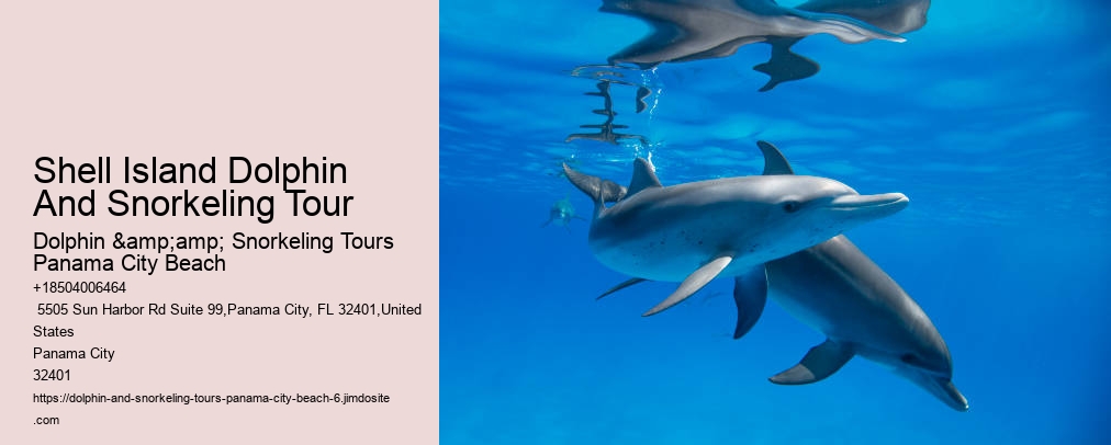 Panama City Beach Snorkeling Tours