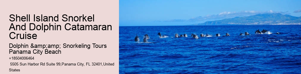 Shell Island Dolphin And Snorkeling Tour