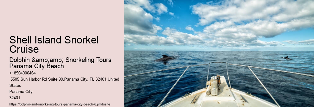 Dolphin & Snorkeling Tours Panama City Beach