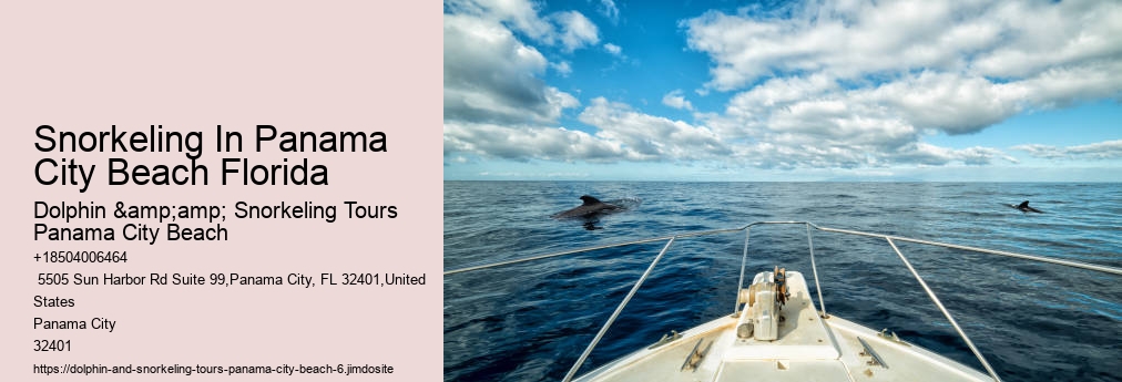 Dolphin & Snorkeling Tours Panama City Beach
