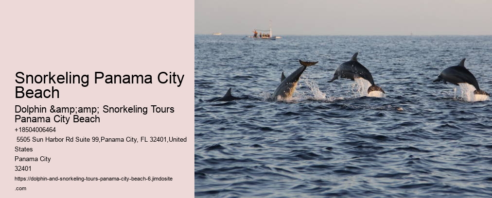 Shell Island Snorkel Cruise