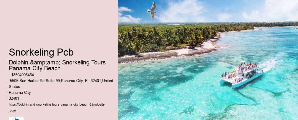 Panama City Beach Snorkeling Tours