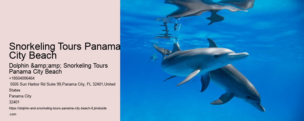 Snorkeling Tours Panama City Beach