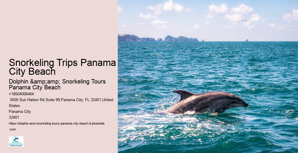 Snorkeling Tours Panama City Beach