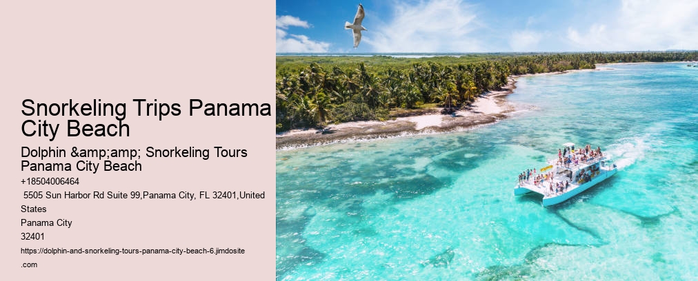 Dolphin & Snorkeling Tours Panama City Beach